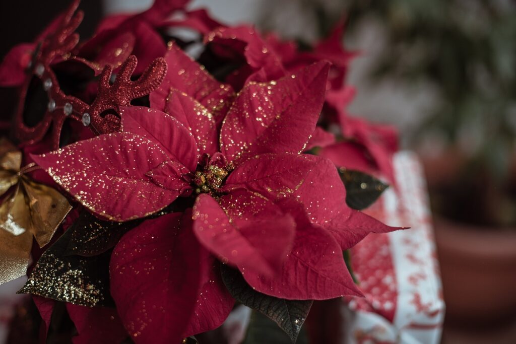 Jul